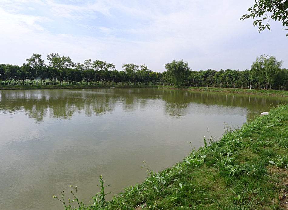 留車鎮(zhèn)陂下村櫻花谷水保生態(tài)示范園建設(shè)工程